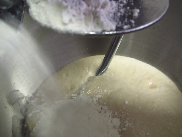 Homemade Pizza and Marinera Sauce