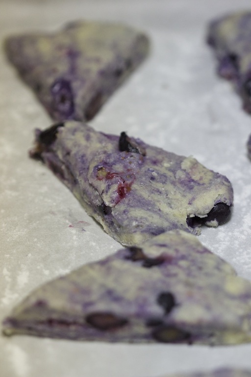 Blueberry and Lavender Scones