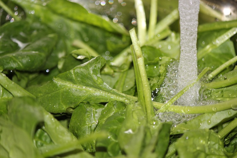 Middle Eastern Spanakopita