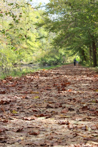 Farewell Washington D.C.