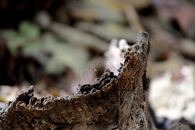 Farewell Washington D.C.